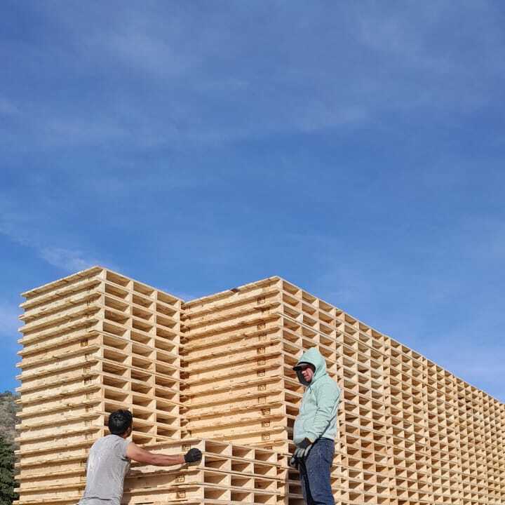 Project 2